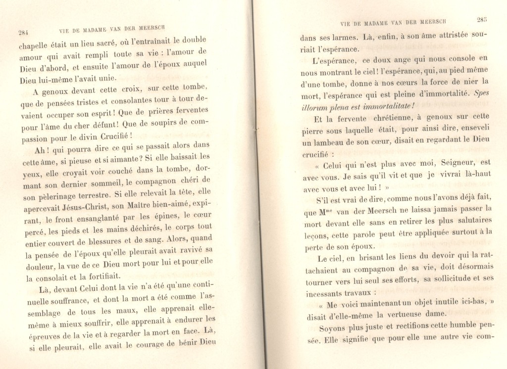 JulieBehaghel_285.jpg
