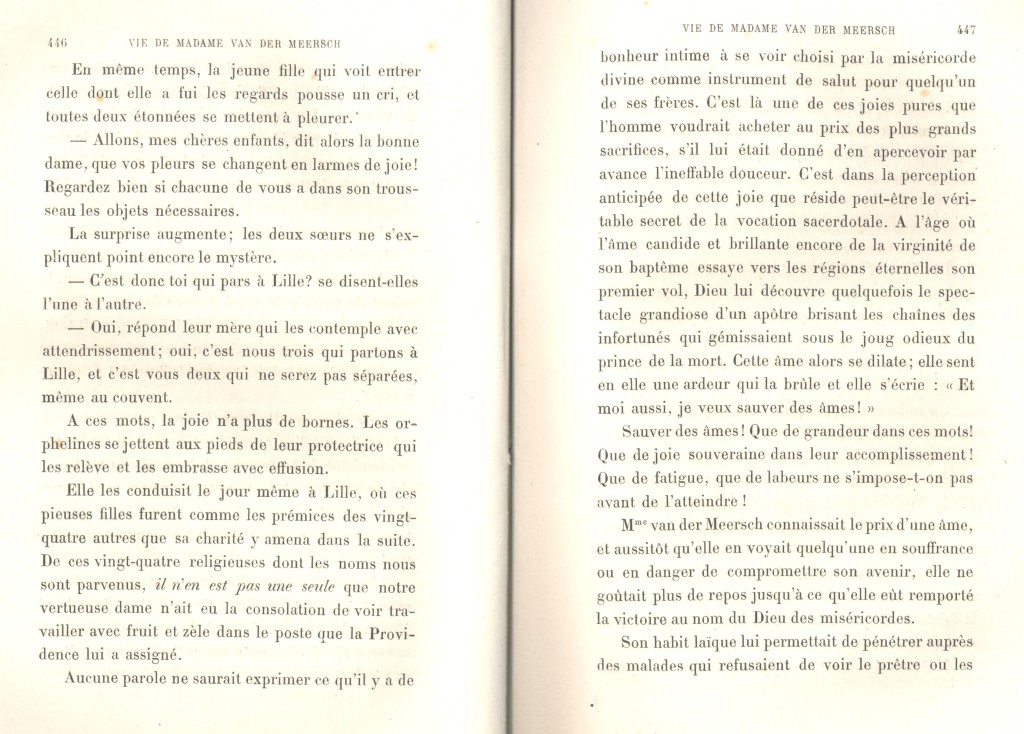 JulieBehaghel_447.jpg
