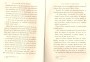 JulieBehaghel_065.jpg JulieBehaghel_065.jpg