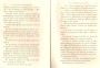 JulieBehaghel_093.jpg JulieBehaghel_093.jpg