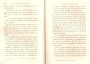 JulieBehaghel_173.jpg JulieBehaghel_173.jpg