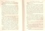 JulieBehaghel_217.jpg JulieBehaghel_217.jpg