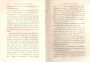 JulieBehaghel_271.jpg JulieBehaghel_271.jpg