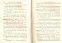 JulieBehaghel_303.jpg JulieBehaghel_303.jpg