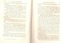 JulieBehaghel_427.jpg JulieBehaghel_427.jpg