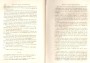 JulieBehaghel_487.jpg JulieBehaghel_487.jpg