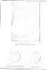 deHennin_192B.jpg deHennin_192B.jpg