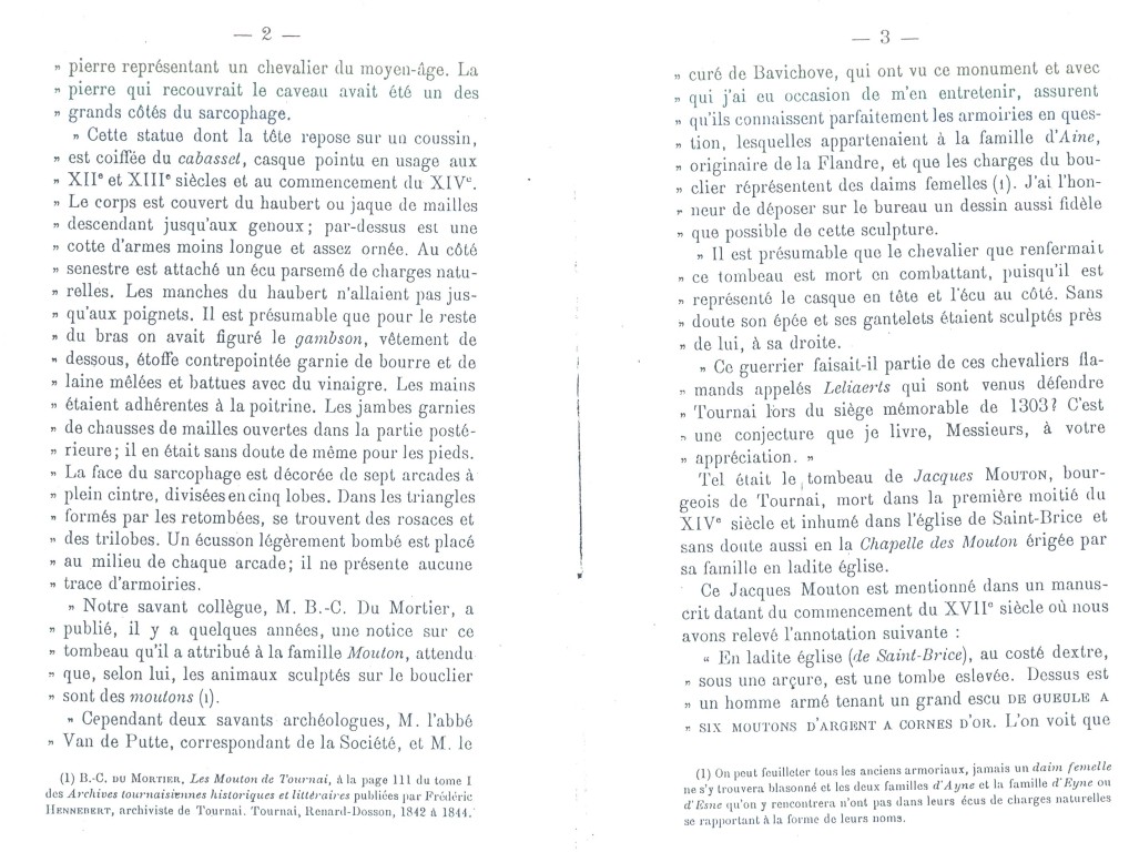Mouton_03.jpg