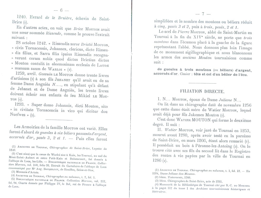 Mouton_07.jpg