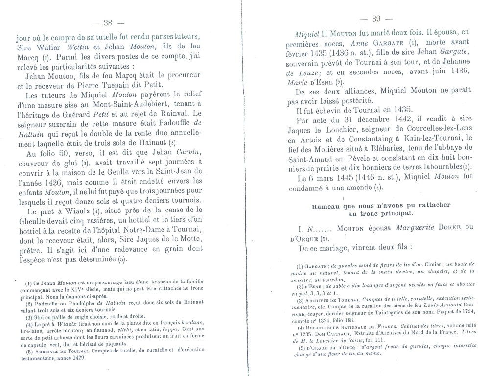 Mouton_39.jpg