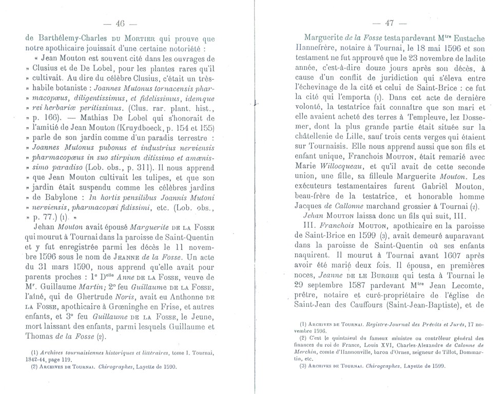 Mouton_47.jpg