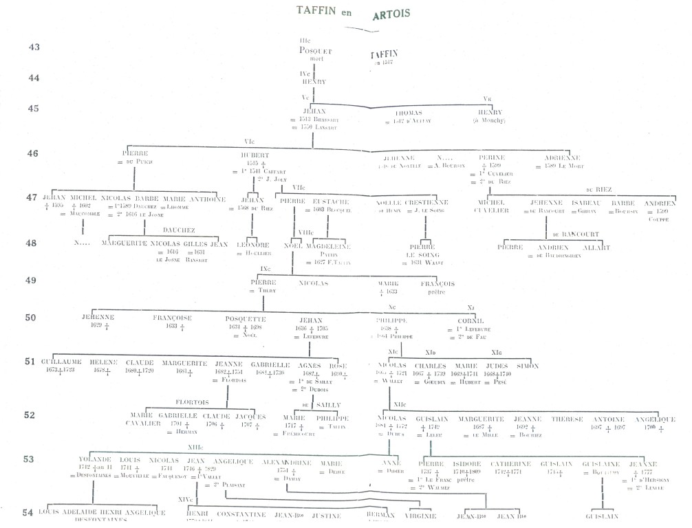 Taffin_055.jpg