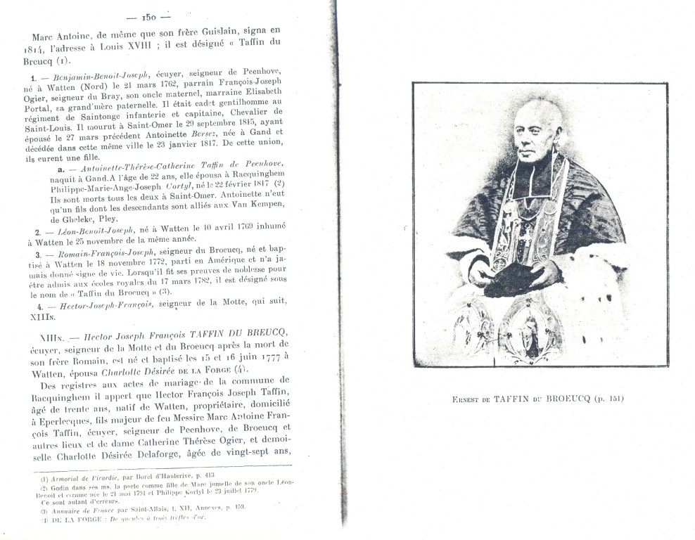 Taffin_150.jpg