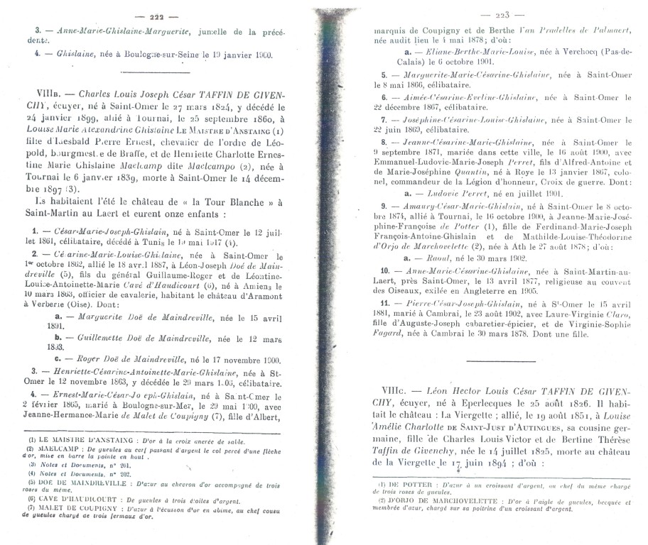 Taffin_223.jpg